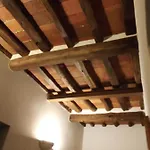 Appartamento San Romano